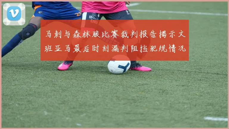 马刺与森林狼比赛裁判报告揭示文班亚马最后时刻漏判阻挡犯规情况