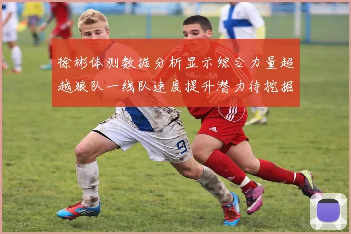 徐彬体测数据分析显示综合力量超越狼队一线队速度提升潜力待挖掘